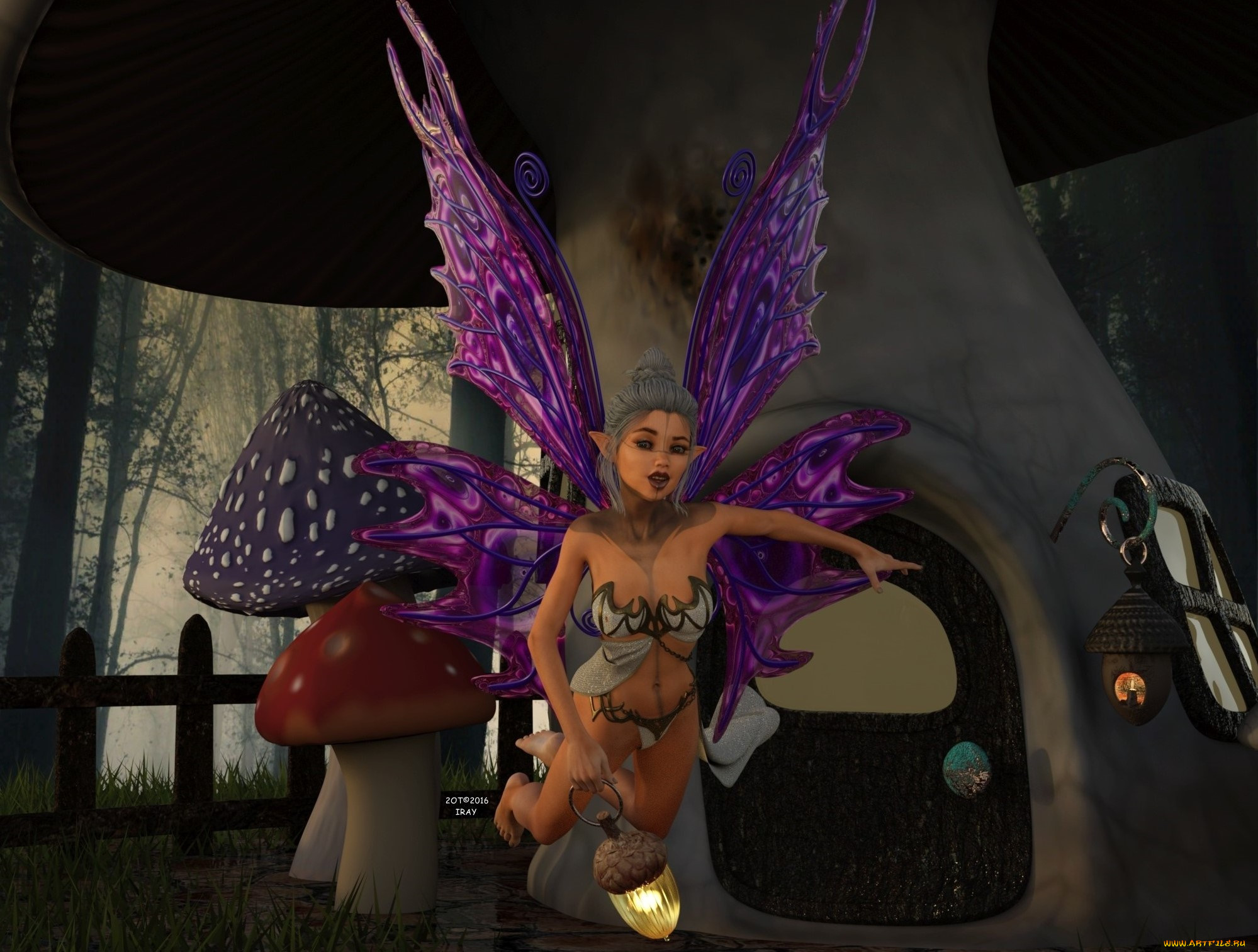 3 ,  , elves, , , 